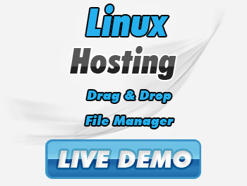 Website Hosting
